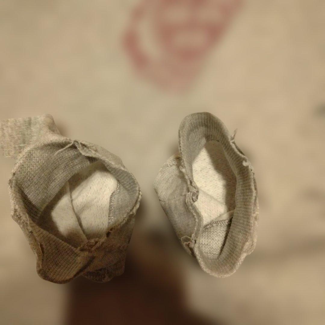 チャンピオン　カレッジ　スウェット　パーカー　トリコタグ