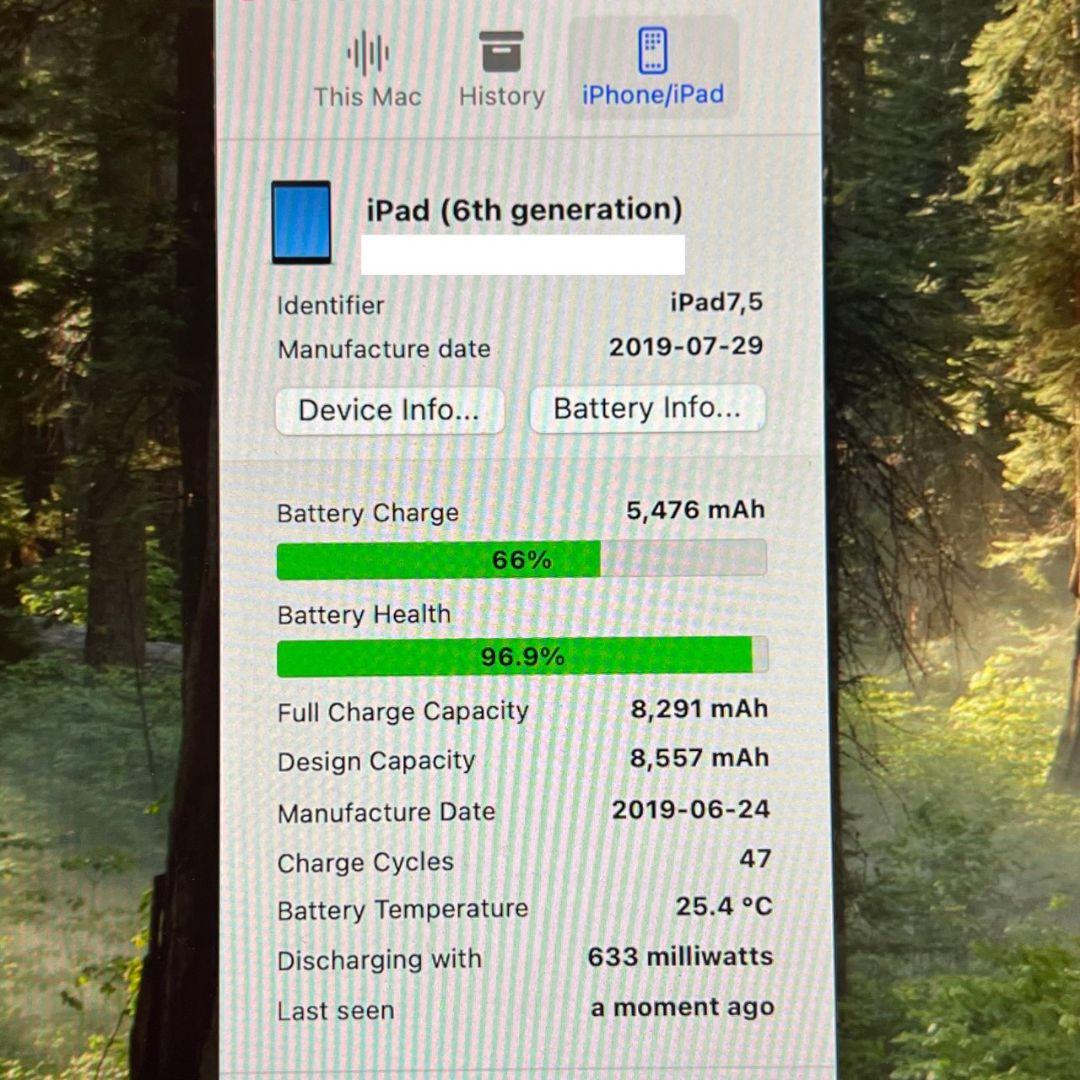 【美品】iPad (第6世代) Wi-Fi 32GB スペースグレイ　96.9%