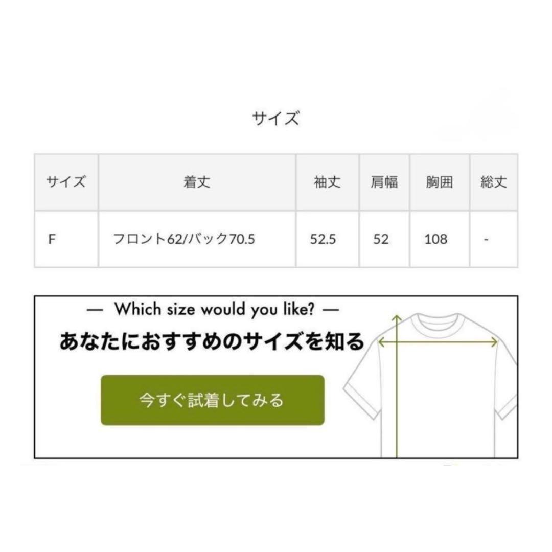 極美品✨ガリャルダガランテ 1,7万円 バックスリットブラウスT ホワイト