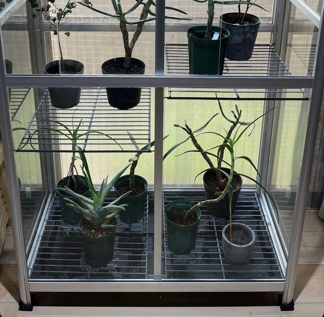 福岡引き取り限定 ピカコーポレーション FHB-1508S ガラス温室 美品