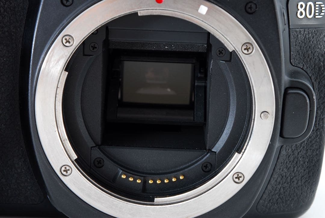 人気機種/キャノン Canon EOS 80D標準&望遠ダブルレンズセット