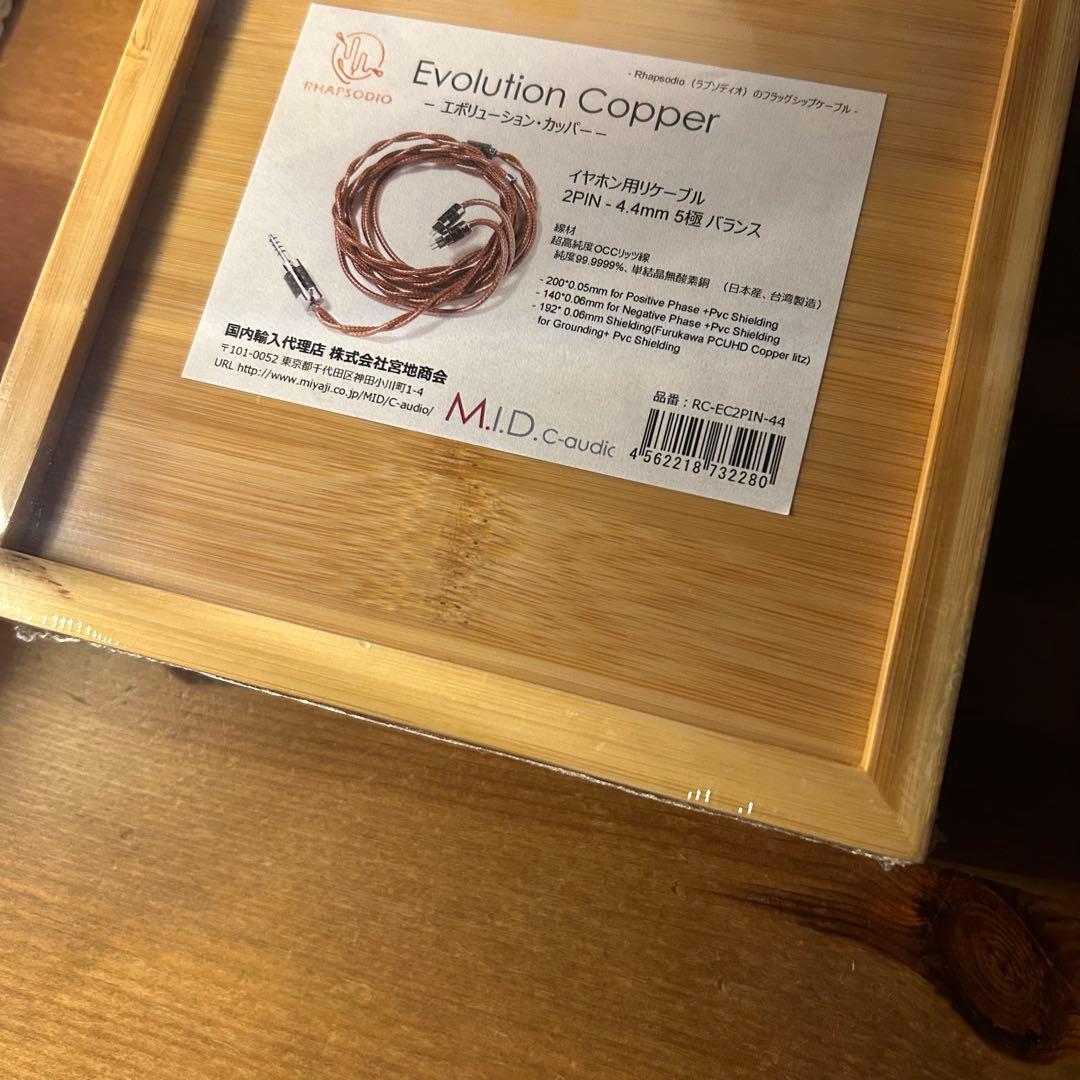 Rhapsodio Evolution Copper イヤホン用ケーブル