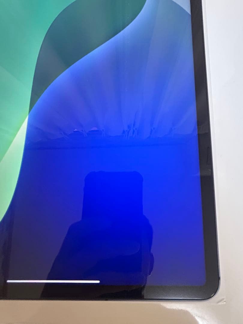 iPad Pro第5世代 12.9インチ 256G