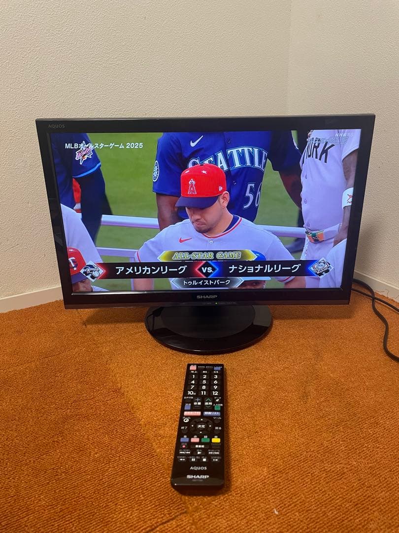 シャープ 液晶テレビ AQUOS LC-19P5 TV