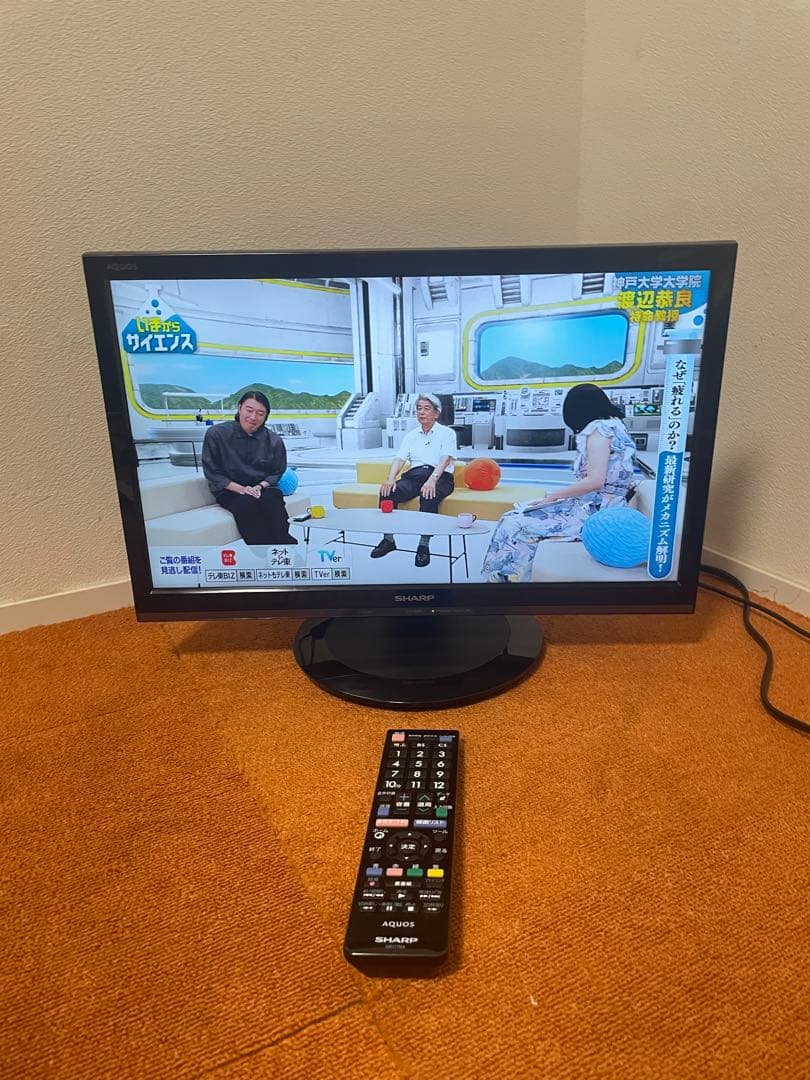 シャープ 液晶テレビ AQUOS LC-19P5 TV