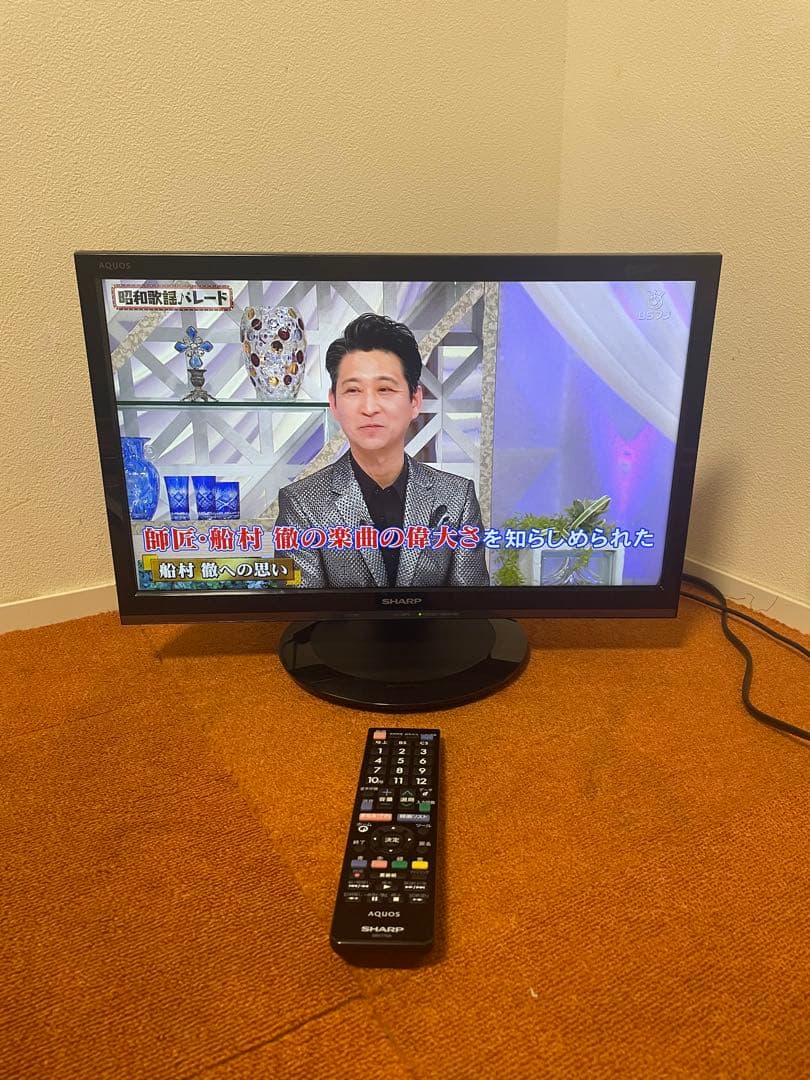 シャープ 液晶テレビ AQUOS LC-19P5 TV