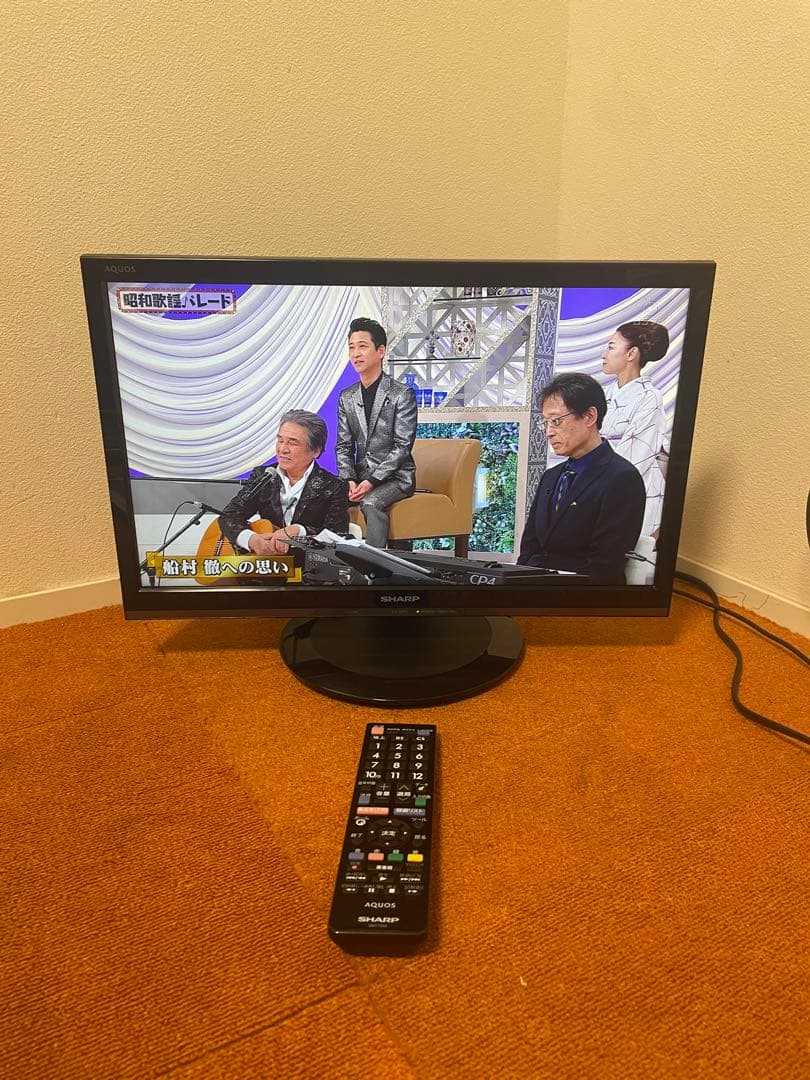 シャープ 液晶テレビ AQUOS LC-19P5 TV