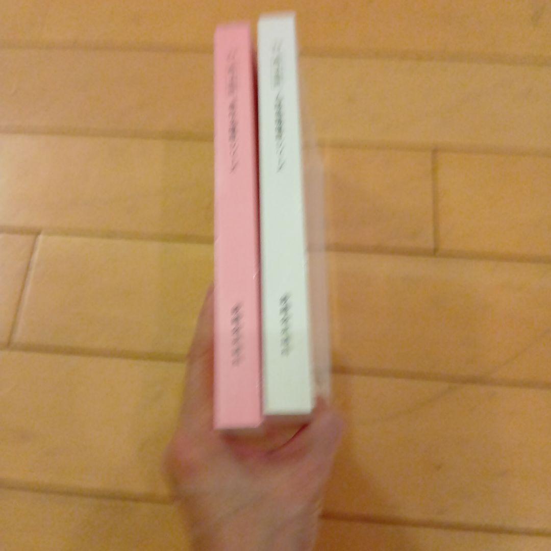 2024年　鉄緑会　高3英語　英作文確認シリーズ、入試英語確認シリーズセット