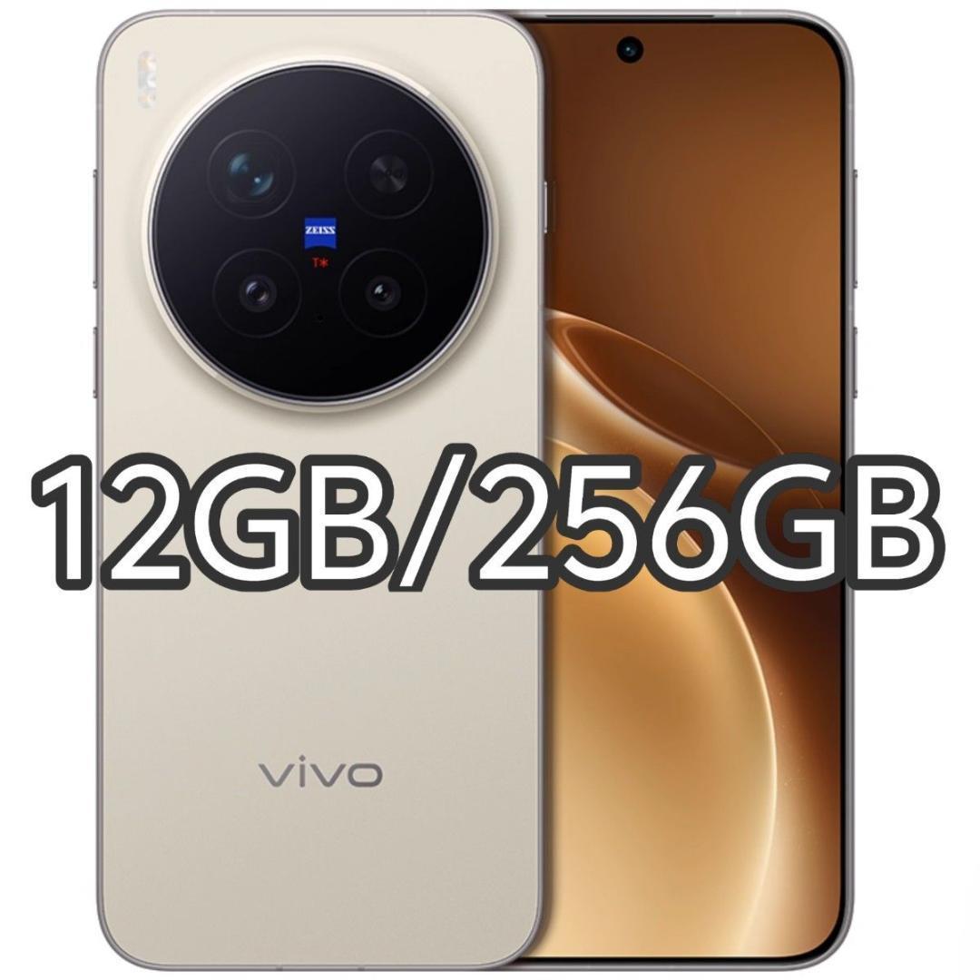 【A】VIVO X300 Pro 12GB/256GB ブラウン 中国版