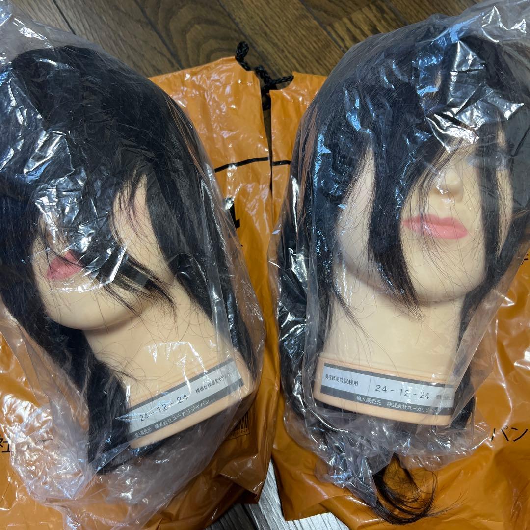 国家試験試験用カットウィッグ 2体セット 24-12-24