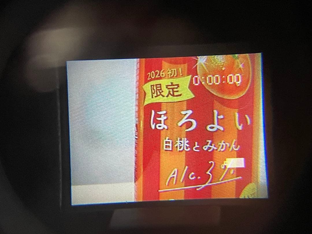 SONY CCD-TR250 ハンディカム　動作品　ダビング・撮影用に