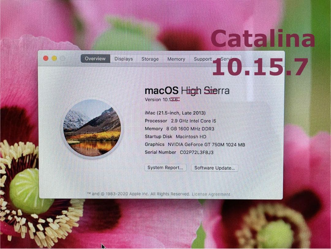 Macデスクトップ Apple iMac 21.5 inch Late 2013