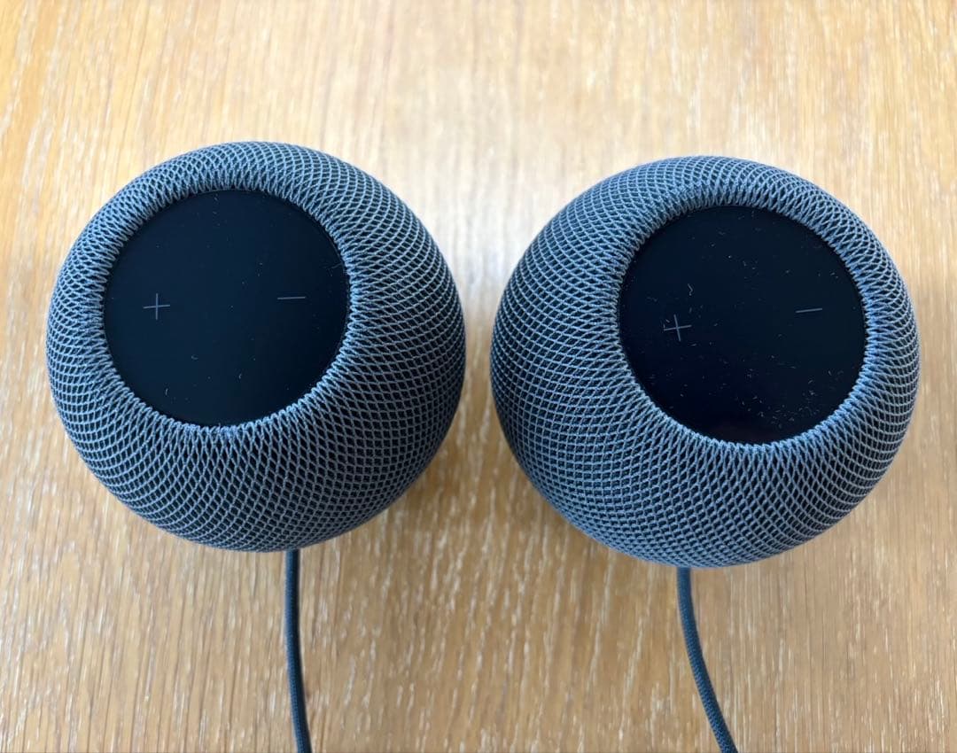 アップル Apple Pod mini スペースグレイ MY5G2JA