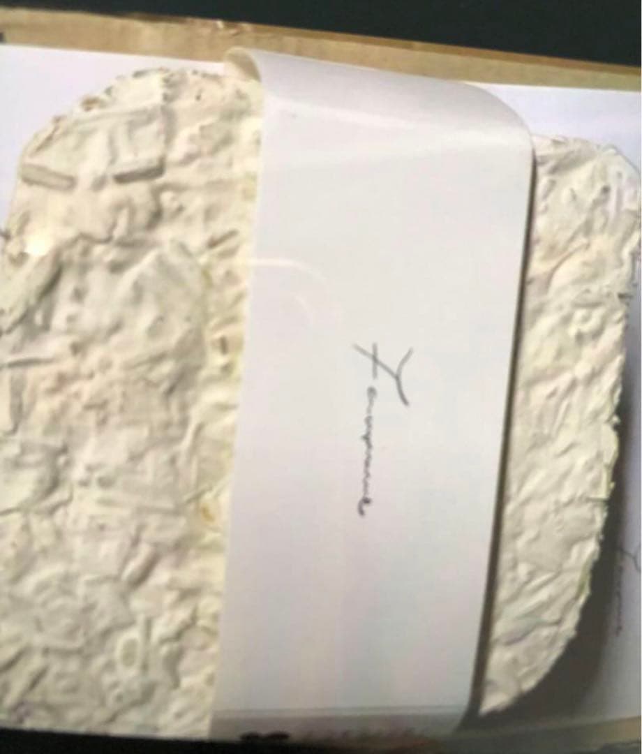 Fauvirame シダチェーンネックレス / ゴールド