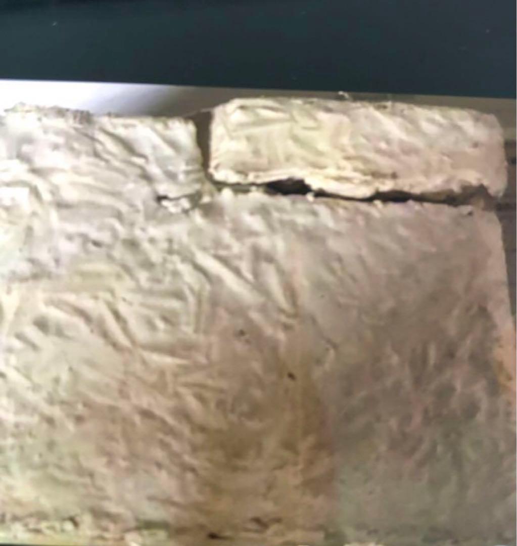 Fauvirame シダチェーンネックレス / ゴールド