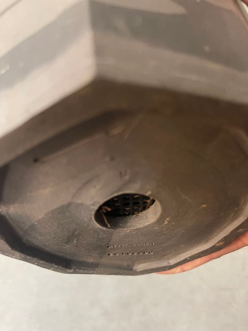 （専用）　 オペルクリカリアデカリー　実生中株　鉢付き