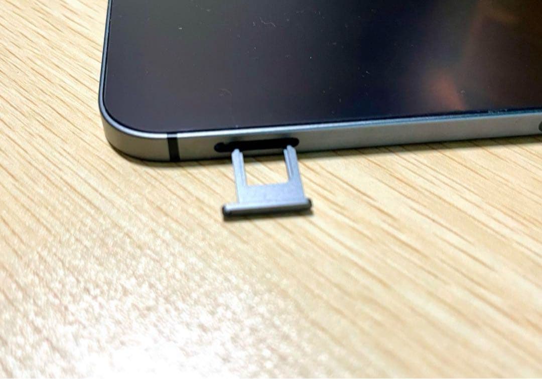 Apple iPad mini 本体 8.3インチ