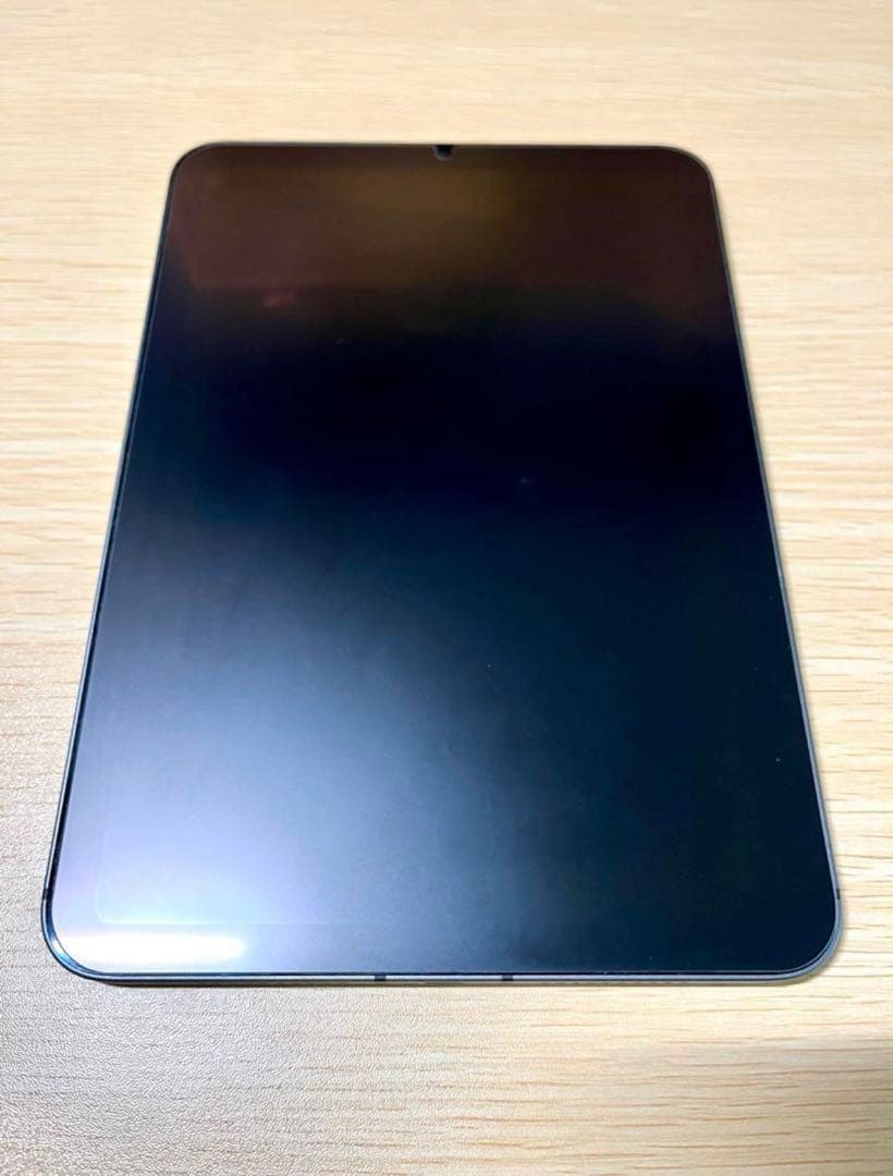 Apple iPad mini 本体 8.3インチ