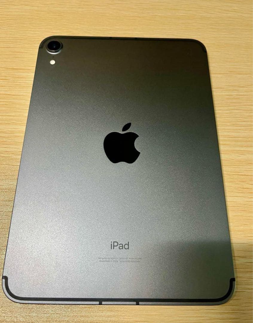 Apple iPad mini 本体 8.3インチ