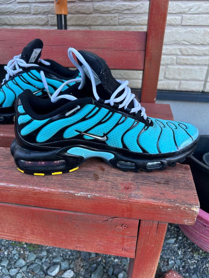 NIKE エアマックスプラス マップラ水色