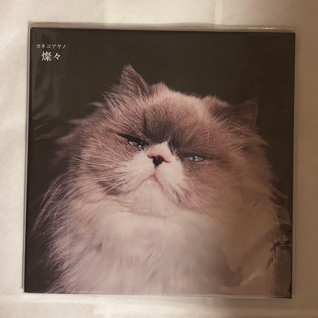 チラシ付き　新品未開封　カネコアヤノ／燦々 レコード