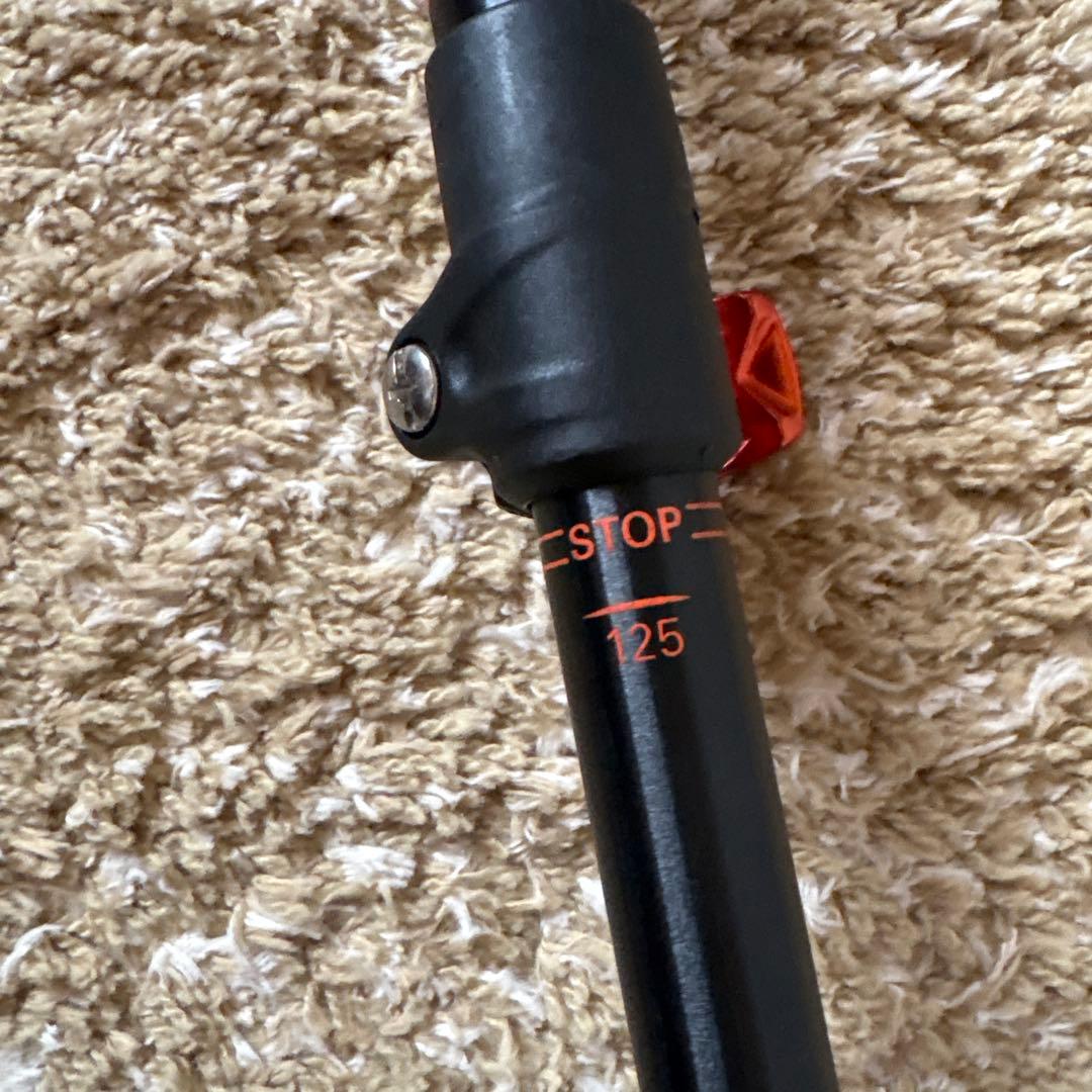 G3スキーポールオレンジ ブラック