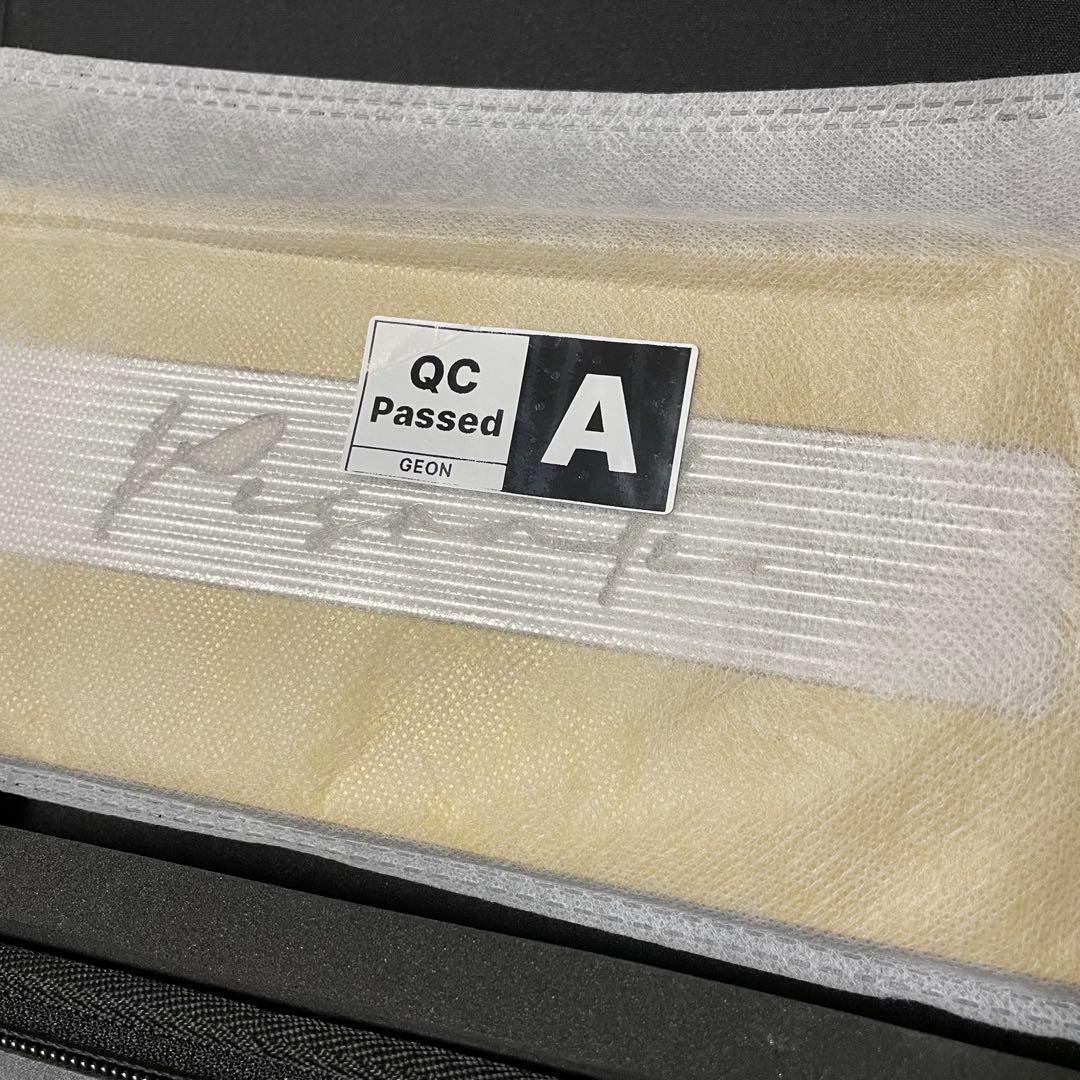 【未使用】Frog Mini Pesante Geonworks (3kg)