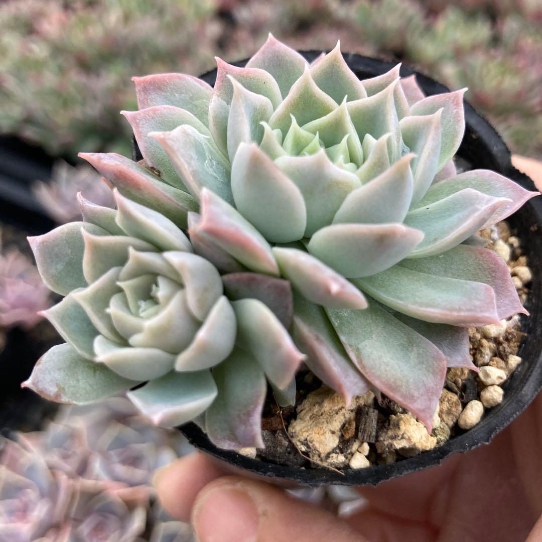 にゃ。様 リクエスト 11点 まとめ商品