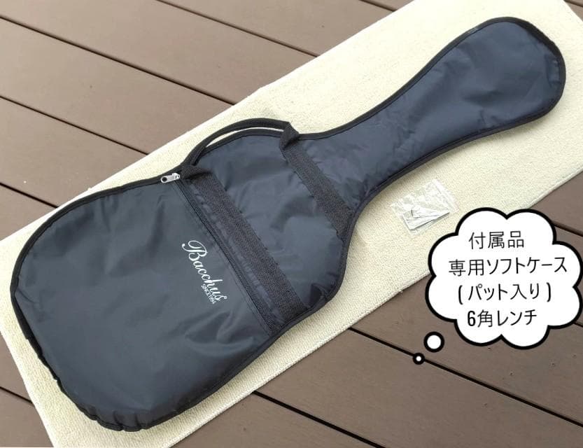 ✨本日限定✨BUCCHUS バッカス テレキャスター