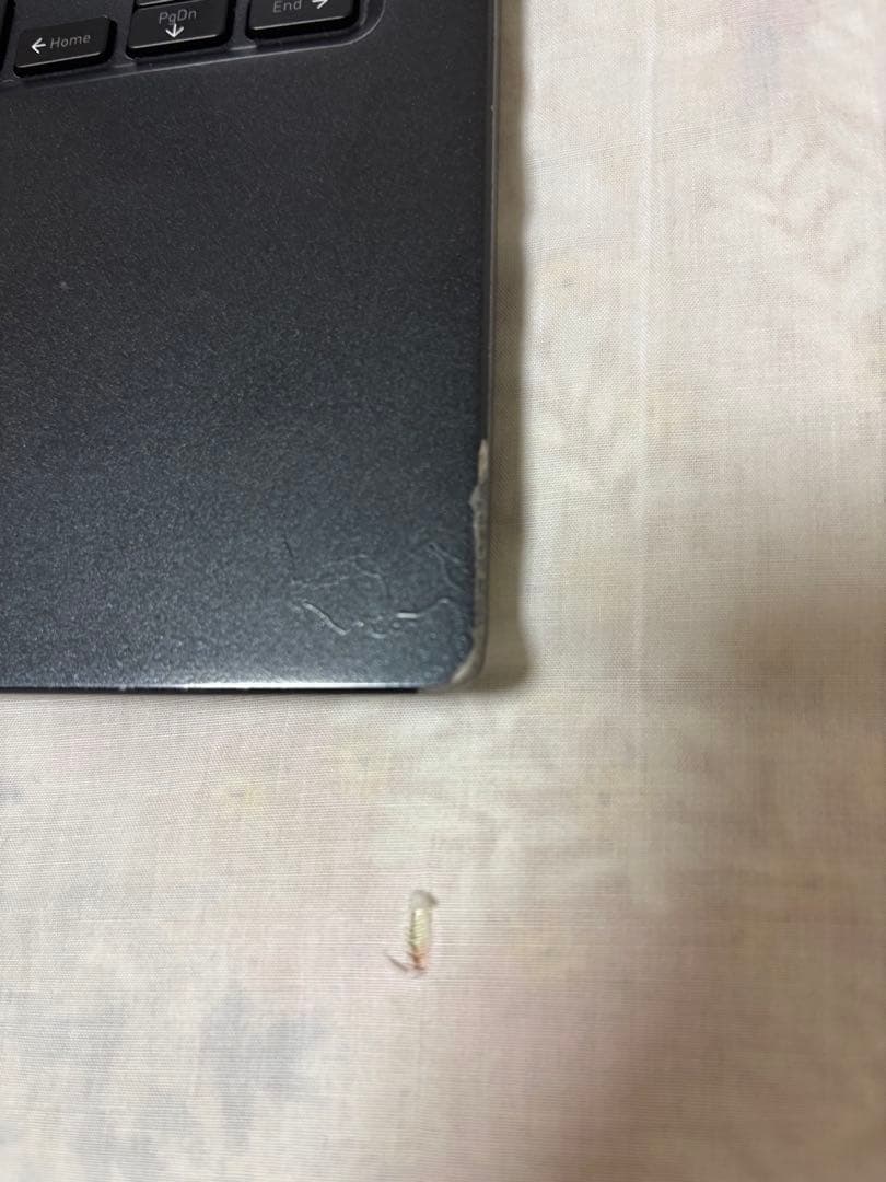 Dyna Book G 83/HU A6GGHUF8D515/ 11世代