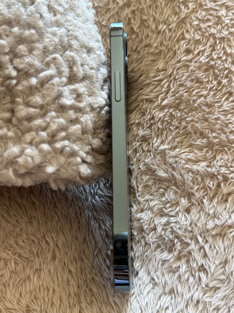 【限定美品】iPhone 12 Pro 256GB