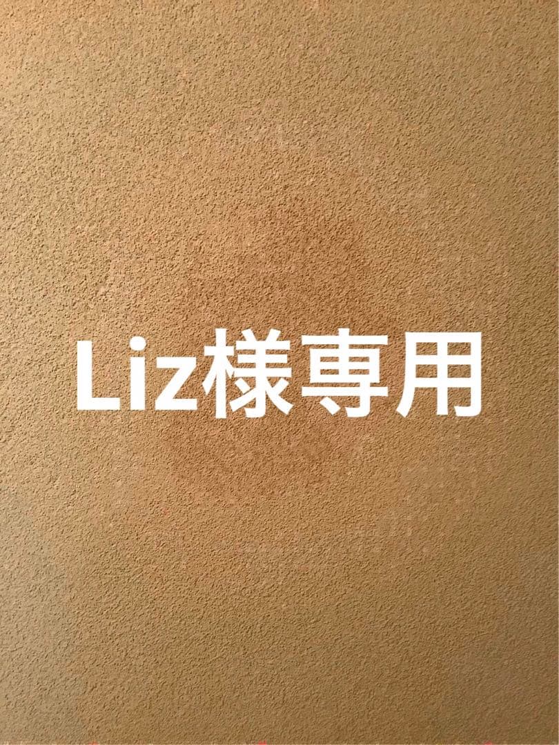 ポケモンカードゲーム Liz