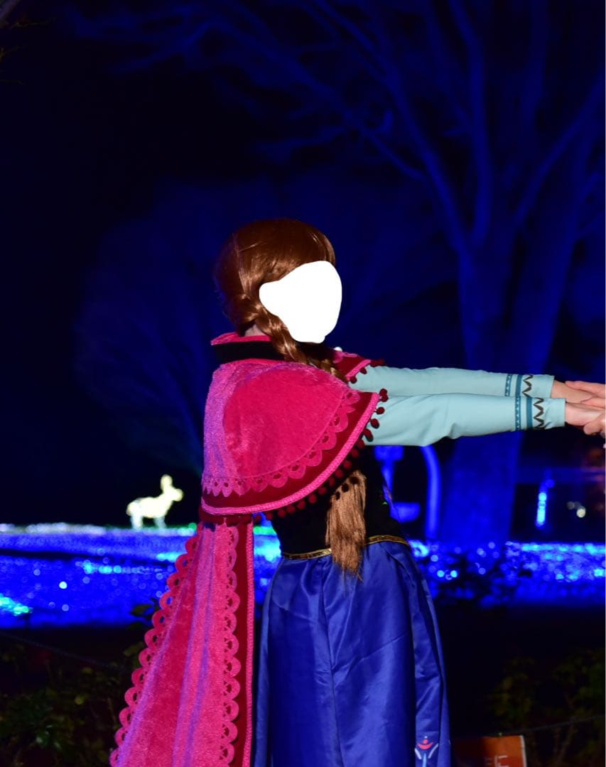アナと雪の女王 アナ コスプレ衣装 ウィッグ