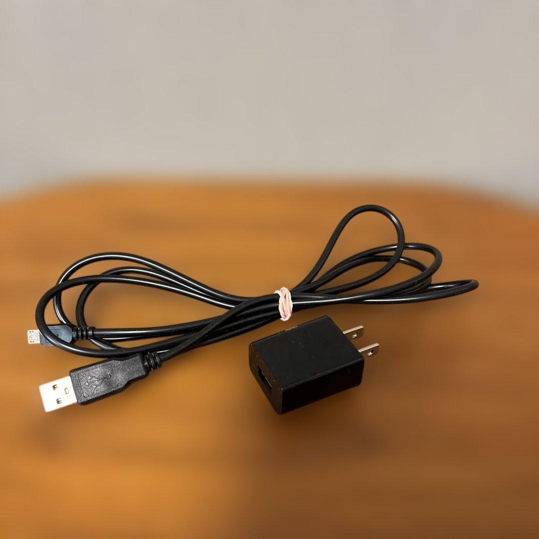 パイラナイト★PYR KNIGHT 美容器