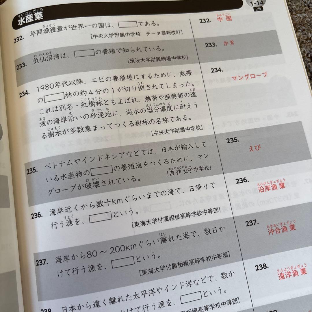 値下げ！プラチナアウトプット 2023/2024年版 社会科テキスト