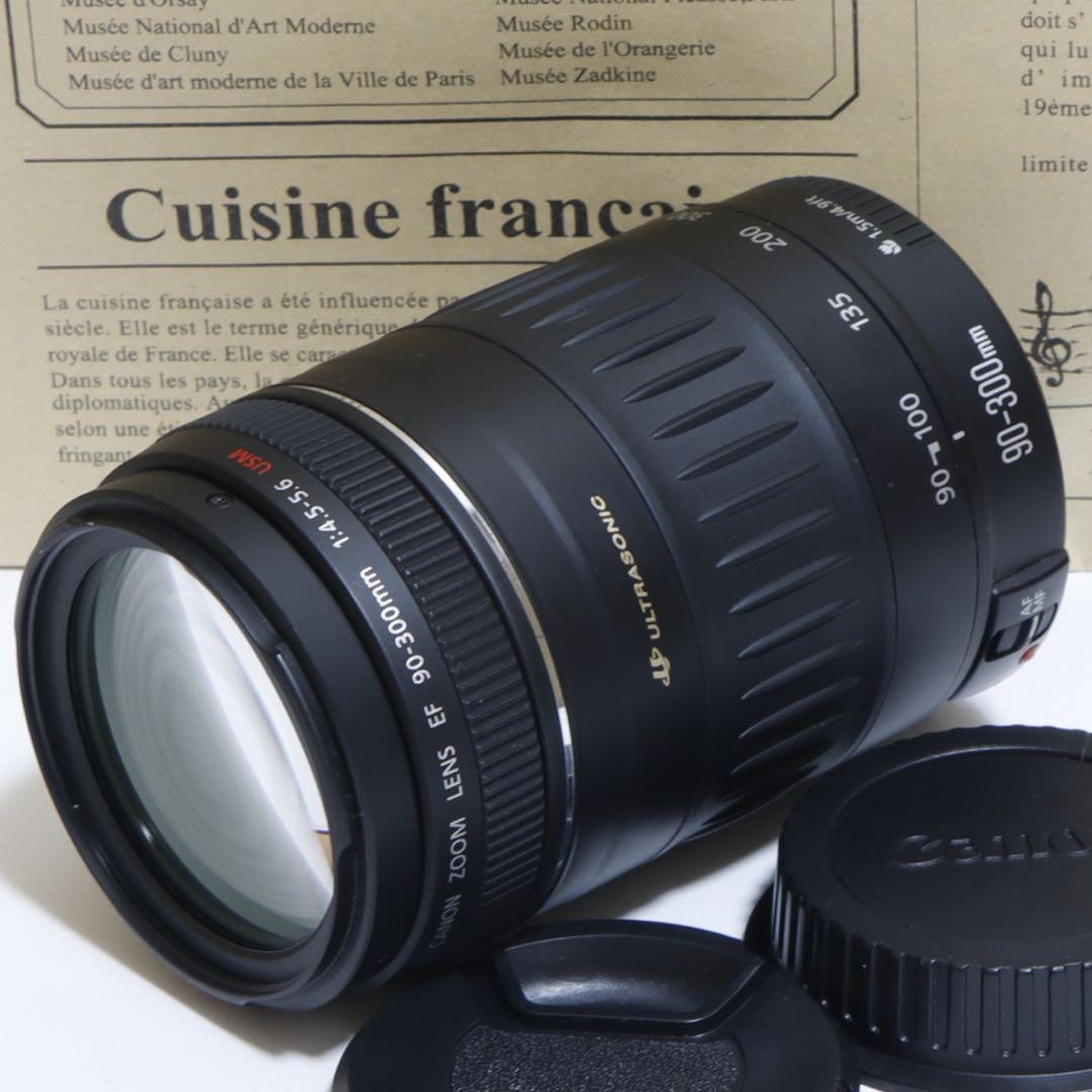 ◇超望遠&高速AF◇Canon純正 90-300mm 超望遠レンズ!!◇