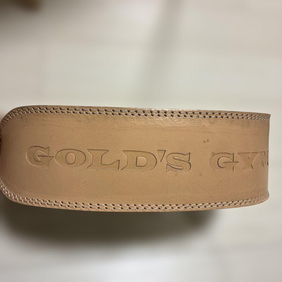 美品　ゴールドジム　GOLD GYM ベルト　トレーニング　筋トレ　Mサイズ