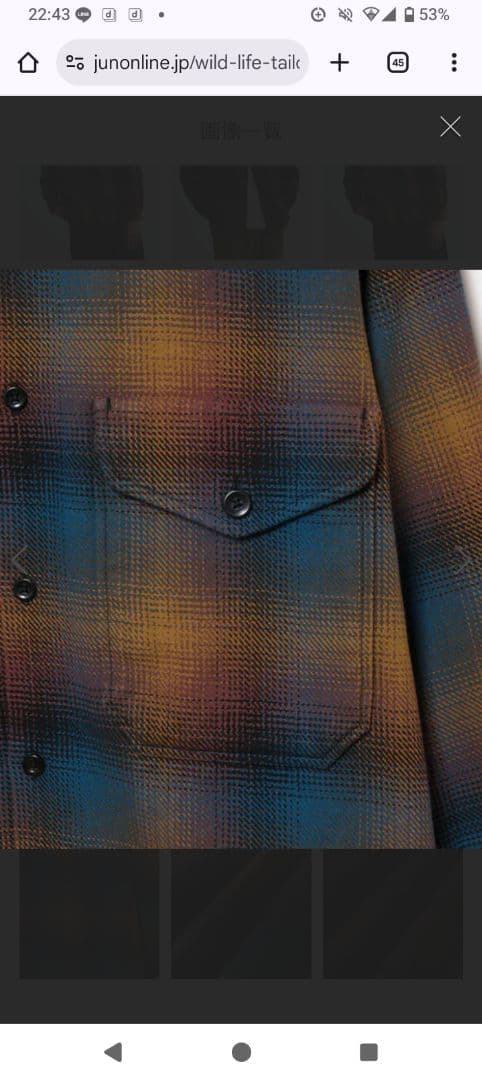 ワイルドライフテーラー　PENDLETON ネルシャツ