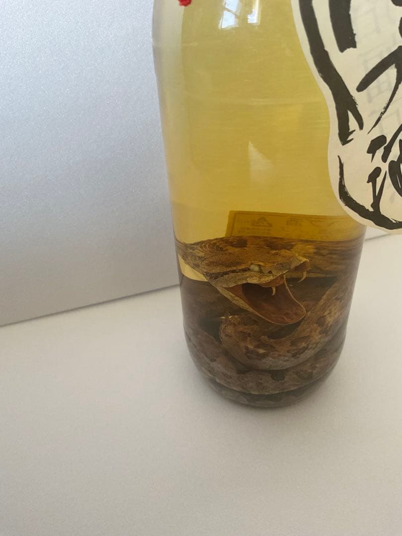 ハブ酒　未開封