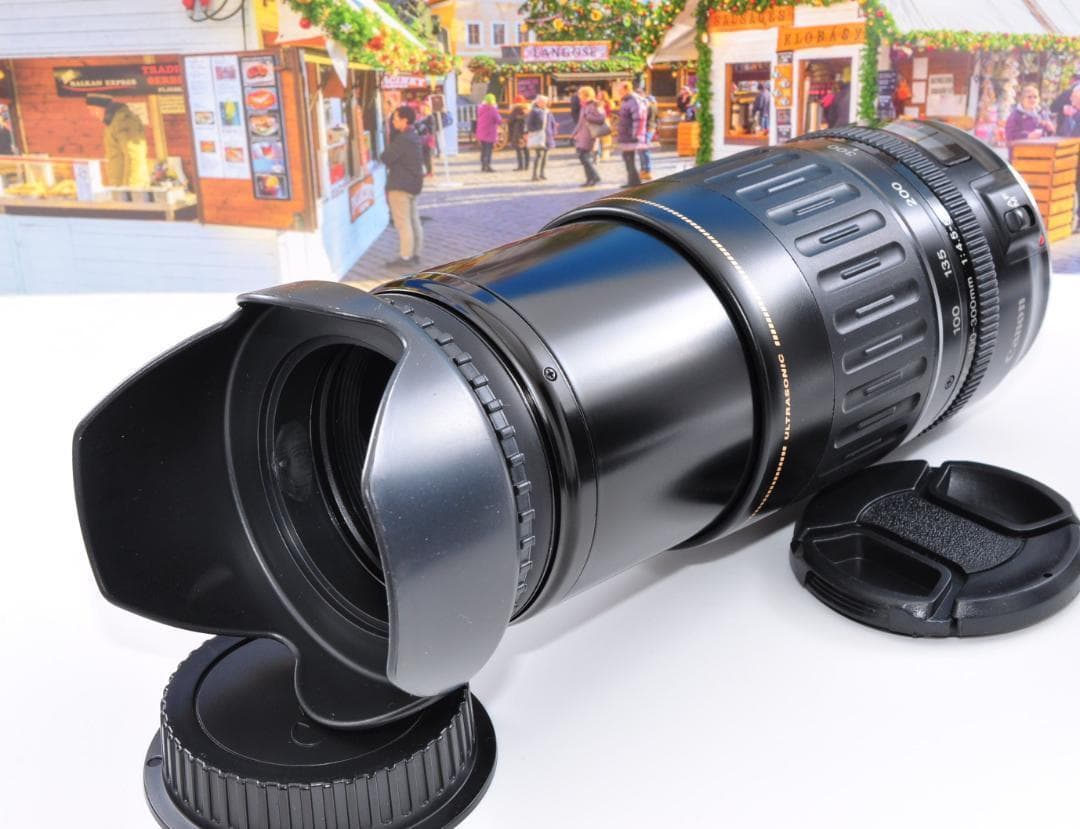 瞬間激写！永久保存 Canon キヤノン 望遠レンズEF100-300mm#③