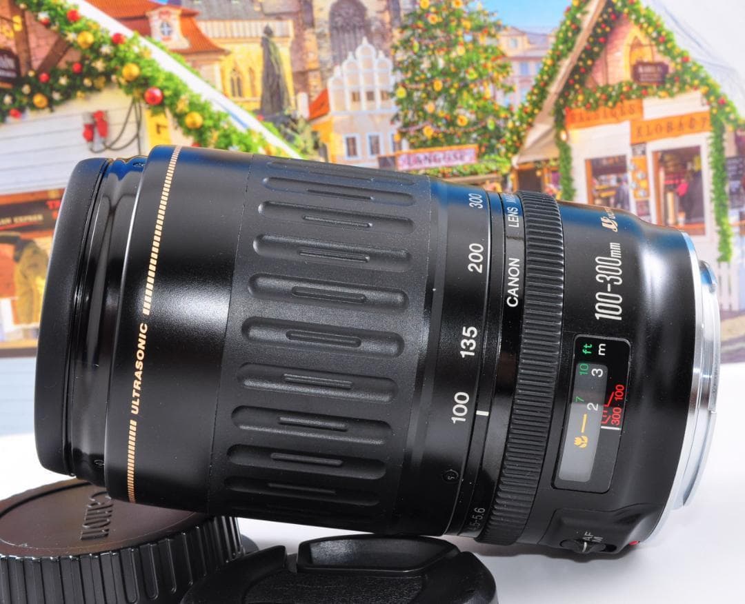 瞬間激写！永久保存 Canon キヤノン 望遠レンズEF100-300mm#③