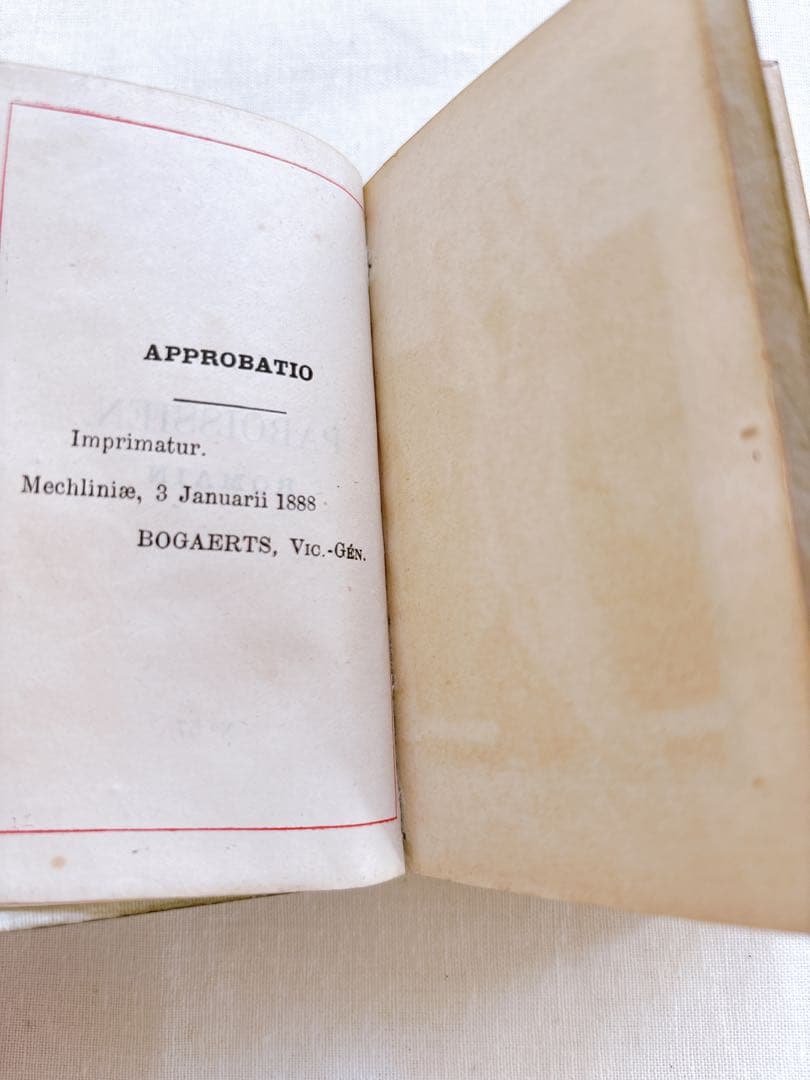 フランスアンティーク　1888年聖書・セルロイド