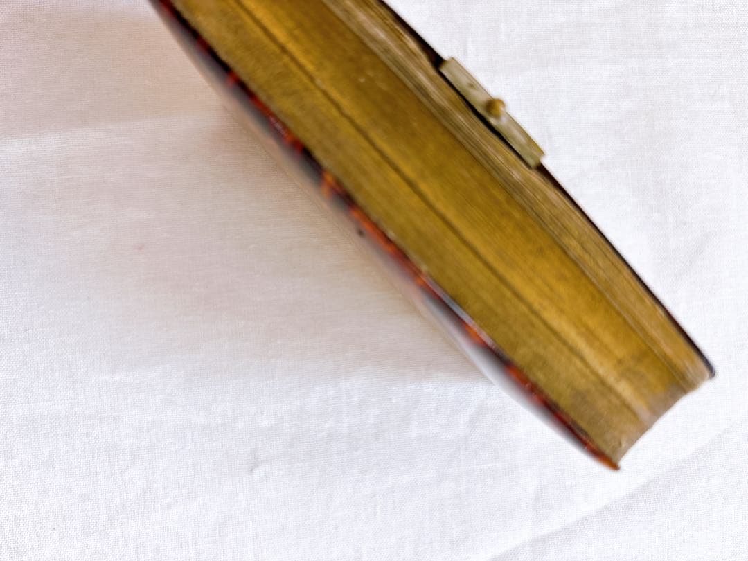 フランスアンティーク　1888年聖書・セルロイド