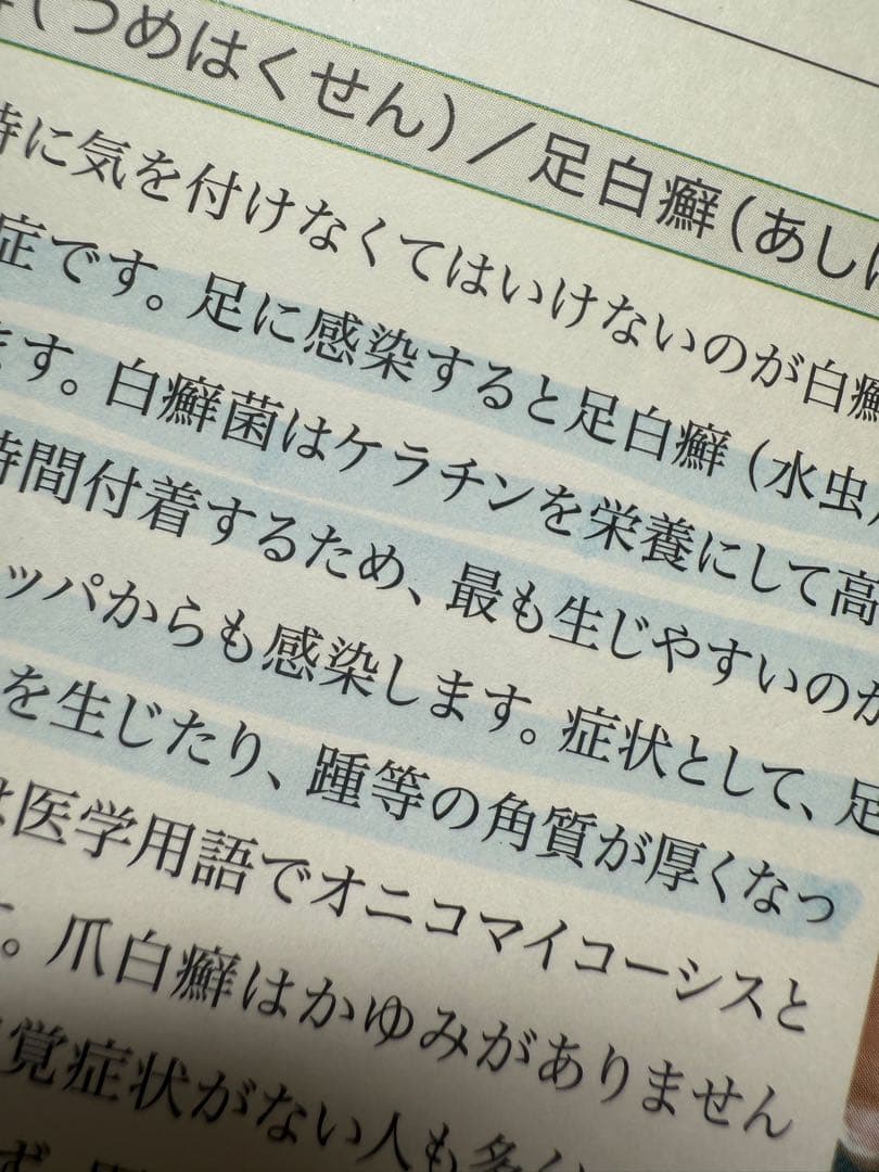 【最終価格　ネイリスト検定用】認定モデルハンド　技能検定公式問題集　認定チップ