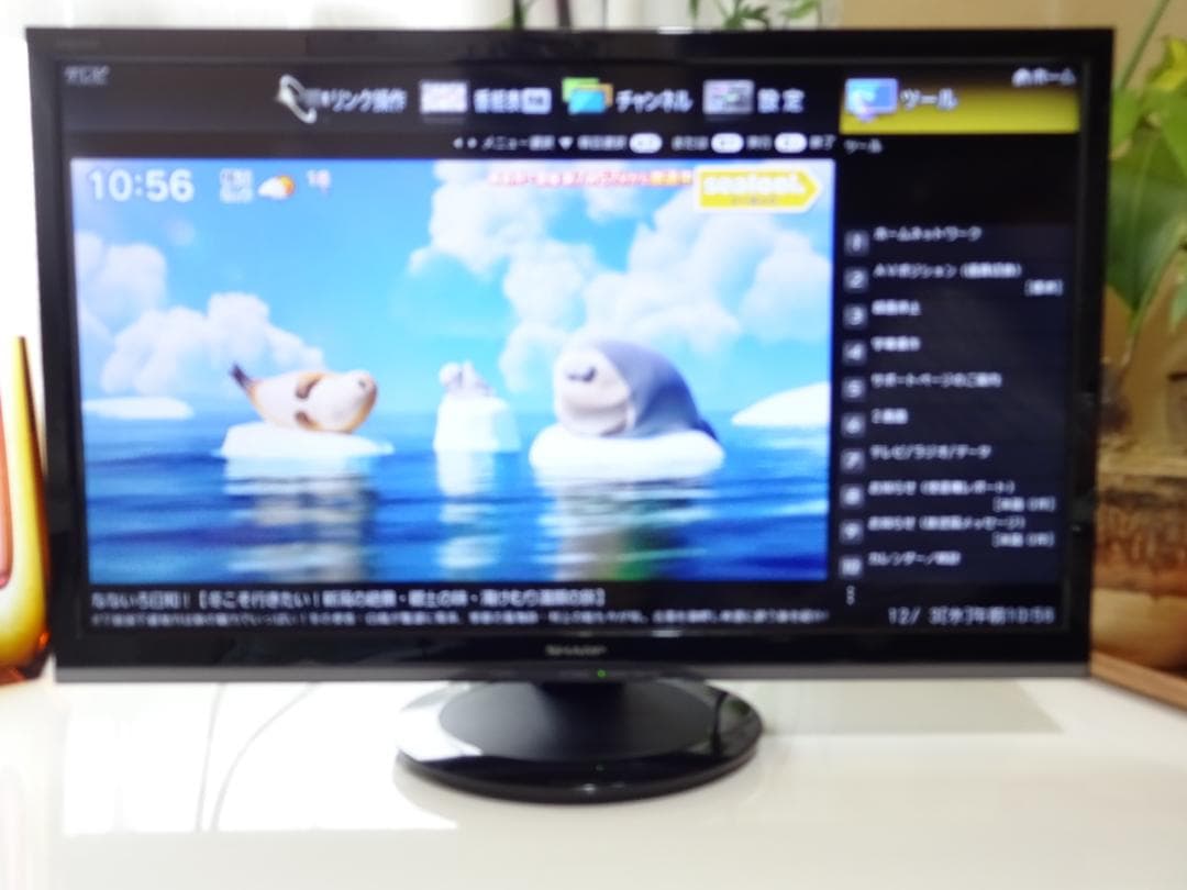 SHARP 24V型 液晶テレビ USB外付HDD録画対応 2T-C24A