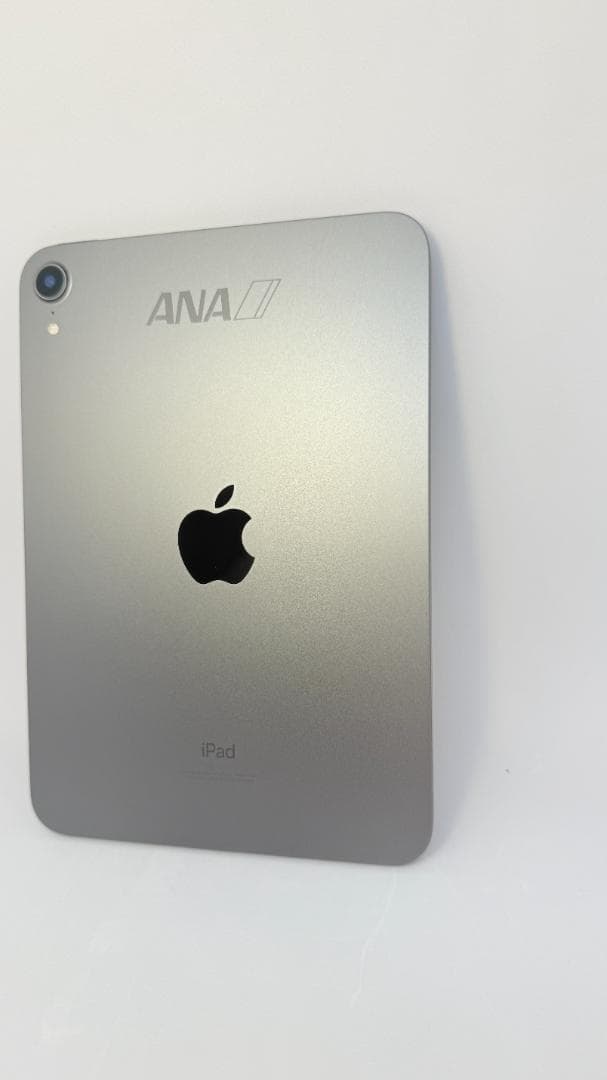 【ANAロゴ刻印】iPad mini Wi-Fiモデル 64GB スペースグレイ
