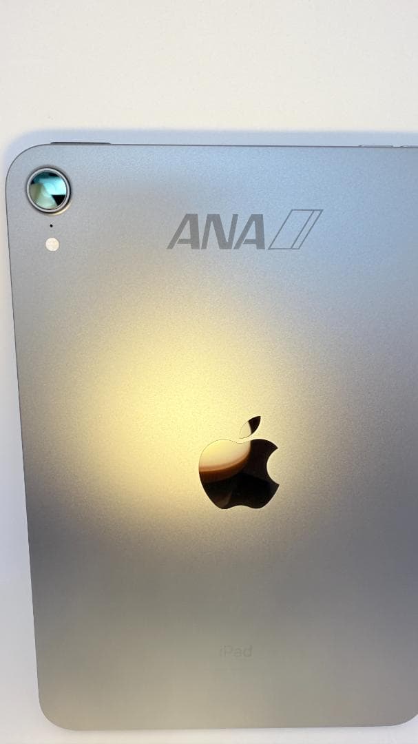 【ANAロゴ刻印】iPad mini Wi-Fiモデル 64GB スペースグレイ