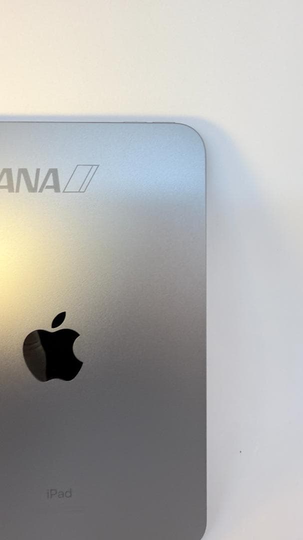 【ANAロゴ刻印】iPad mini Wi-Fiモデル 64GB スペースグレイ