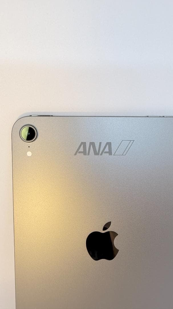 【ANAロゴ刻印】iPad mini Wi-Fiモデル 64GB スペースグレイ