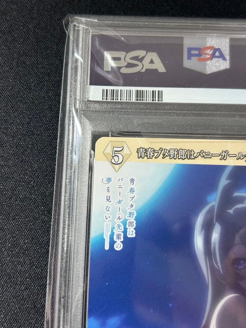 桜島麻衣　ビルディバイド 青春ブタ野郎はバニーガール先輩の夢を見ない　psa10